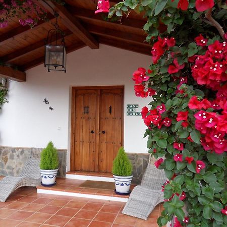 Bed & Breakfast | Guest House Casa Don Carlos อัลเลาริน เอล กรันเด ภายนอก รูปภาพ
