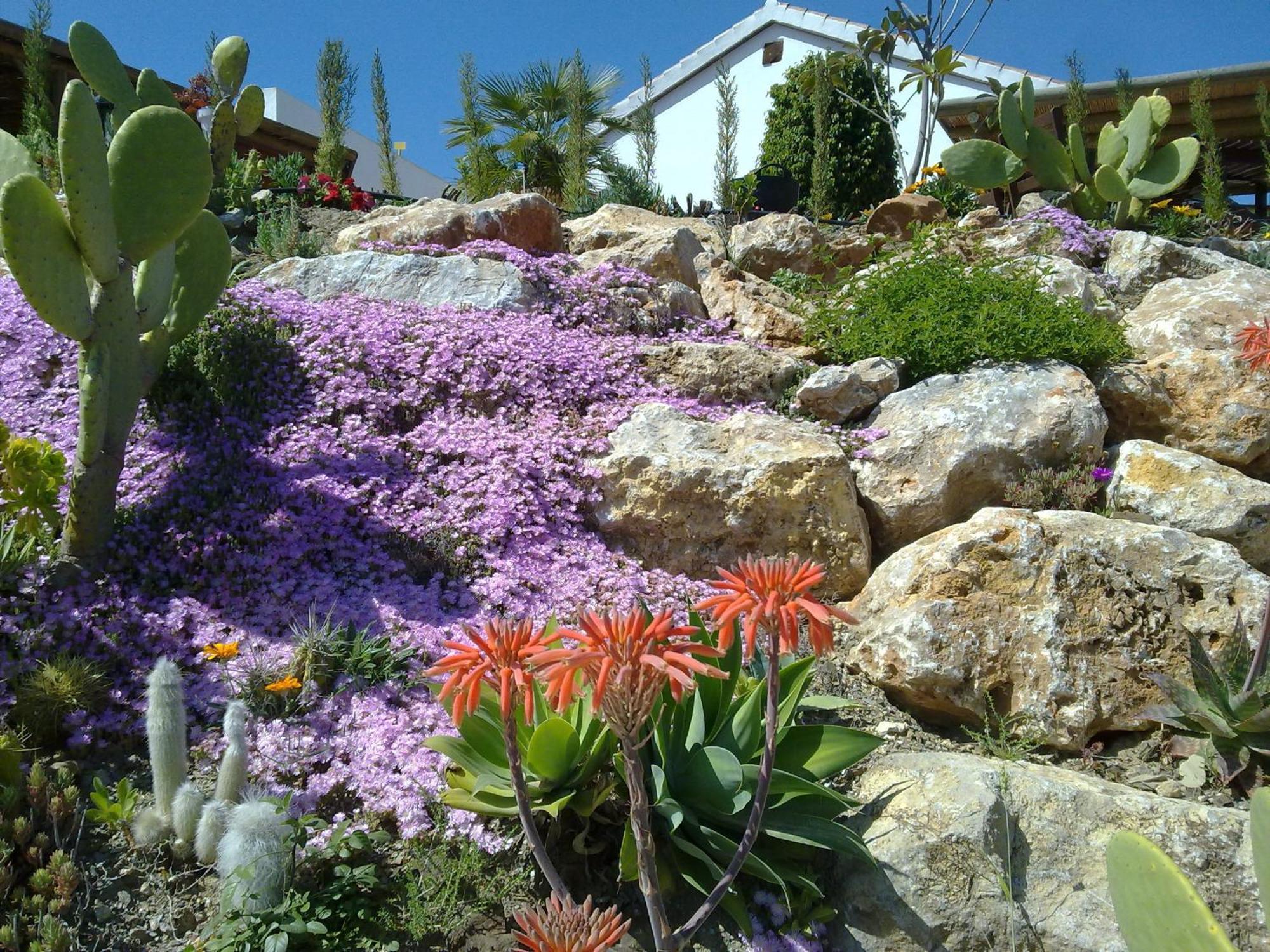 Bed & Breakfast | Guest House Casa Don Carlos อัลเลาริน เอล กรันเด ภายนอก รูปภาพ